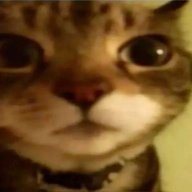 Meowmeowly