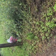 Jakepepper