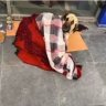 WHOAMI01