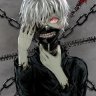halsoft2