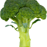 dropemout321