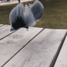 edrfghtjk