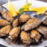 midye3dolma5