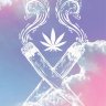 smokedya