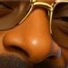 Bazza_HD