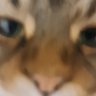 okokok_1