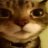 Meowmeowly