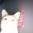 suelene