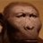 cantfindgoodname1